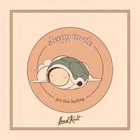 sleepy turtle - Got This Feeling