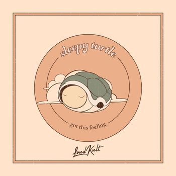 sleepy turtle - Got This Feeling