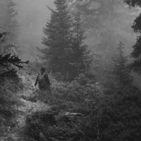 Fog - Will dich nicht sehen