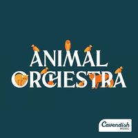 Roma Yagnik - Animal Orchestra