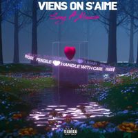 Sney (feat. Alisson) - Viens on s'aime (Explicit)