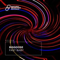 Biggoose - Fast Baby