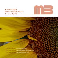 Audioglider - Depth Perception EP (The Remixes, Pt. 2)