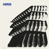 KARIO - Are You In There?