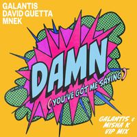 Galantis, David Guetta & MNEK - Damn (You’ve Got Me Saying) (Galantis & Misha K VIP Mix)