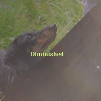 Various Artists - Diminished