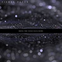 PIERRE PETER - Bring the Noise Back Home