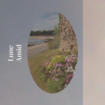 Various Artists - Lune Amid