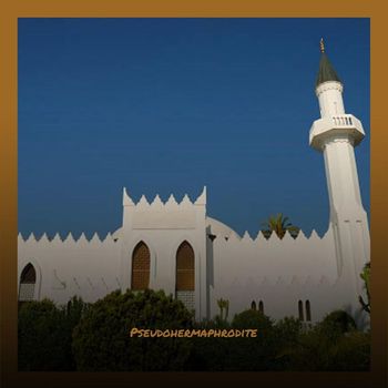 Various Artists - Pseudohermaphrodite