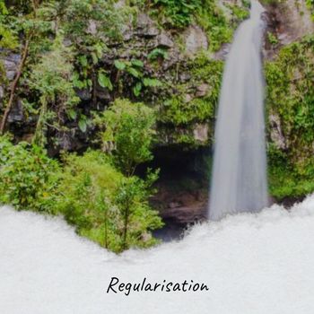 Various Artists - Regularisation