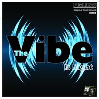 Pimlican - The Vibe Is Right