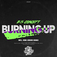 B&S Concept - Burning Up