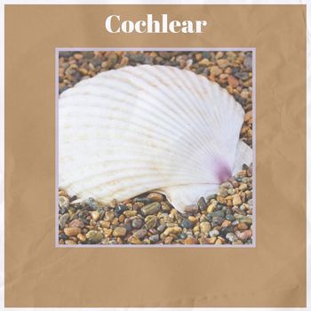 Various Artists - Cochlear
