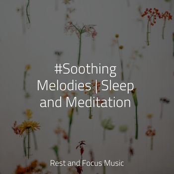 Spa Zen, Spa, Kinderlieder-Superstar - #Soothing Melodies | Sleep and Meditation