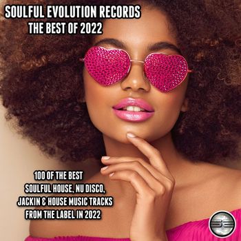 Various Artists - Soulful Evolution Records The Best of 2022