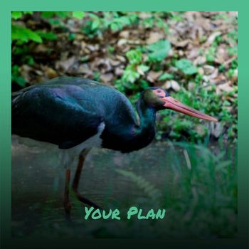 Various Artists - Your Plan