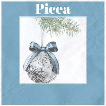 Various Artists - Picea