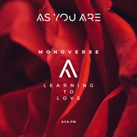 Monoverse - Learning To Love