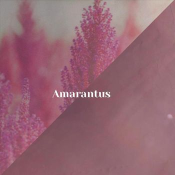 Various Artists - Amarantus