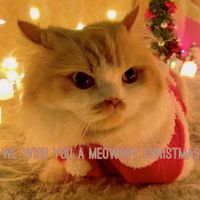 Moon - We Wish You a Meowrry Christmas