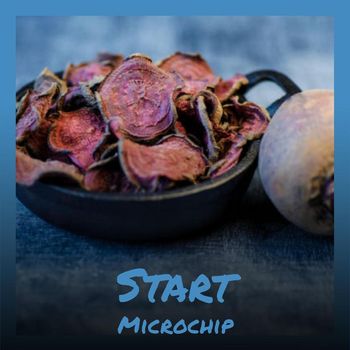 Various Artists - Start Microchip