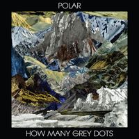 Polar - How Many Grey Dots