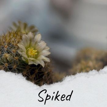Various Artists - Spiked