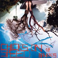 Chicks on Speed - Press the Spacebar (Explicit)