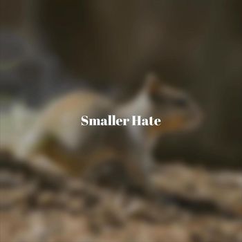 Various Artists - Smaller Hate