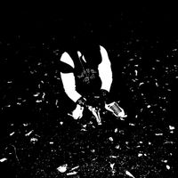 Payne - Im Sorry (Explicit)