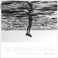 Frank Admiraal - Perceptions of Sound