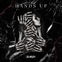 DJ Asley - Hands Up
