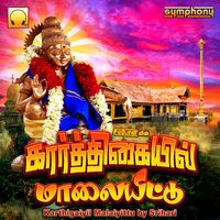 Srihari - Karthigaiyil Malaiyittu