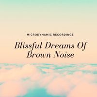Microdynamic Recordings - Blissful Dreams Of Brown Noise