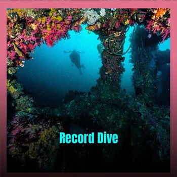 Various Artists - Record Dive