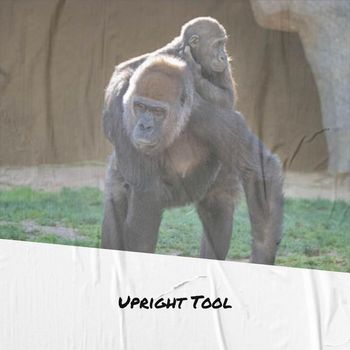 Various Artists - Upright Tool