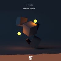 Prinsh - Gotta Know