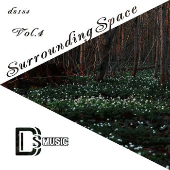 Various Artists - Surrounding Space, Vol. 4