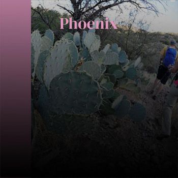 Various Artists - Phoenix