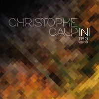 Christophe Calpini - Introvision