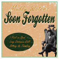 Muddy Waters - Soon Forgotten