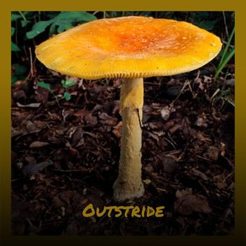 Various Artists - Outstride