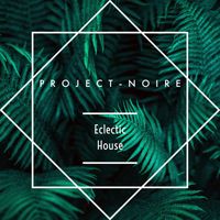 Project Noire - Eclectic House
