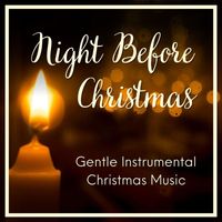 Wildlife - Night Before Christmas... Gentle Instrumental Christmas Music