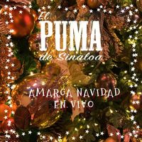 El Puma De Sinaloa - Amarga Navidad (En Vivo)