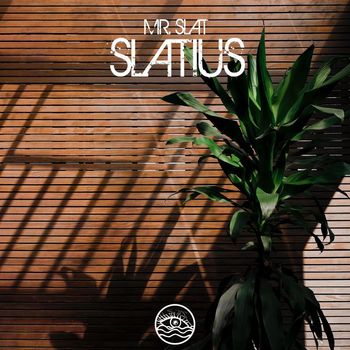 Mr. Slat - Slatius