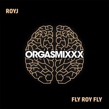 RoyJ - Fly Roy Fly