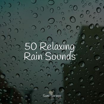 Pro Sound Effects Library, Massage Tribe, Tinnitus Aid - 50 Soothing Winter Rain Sounds