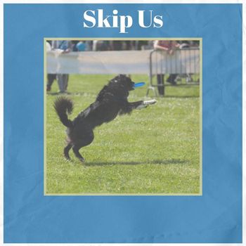 Various Artists - Skip Us