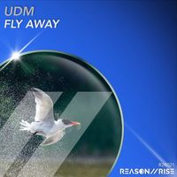 UDM - Fly Away